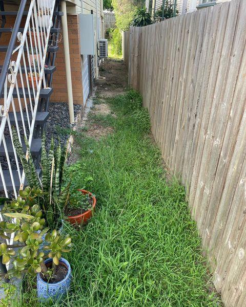 Before: overgrown grassy strip between a house and a timber fence