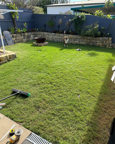 Before: backyard lawn below a block retaining wall, with tools on the ground